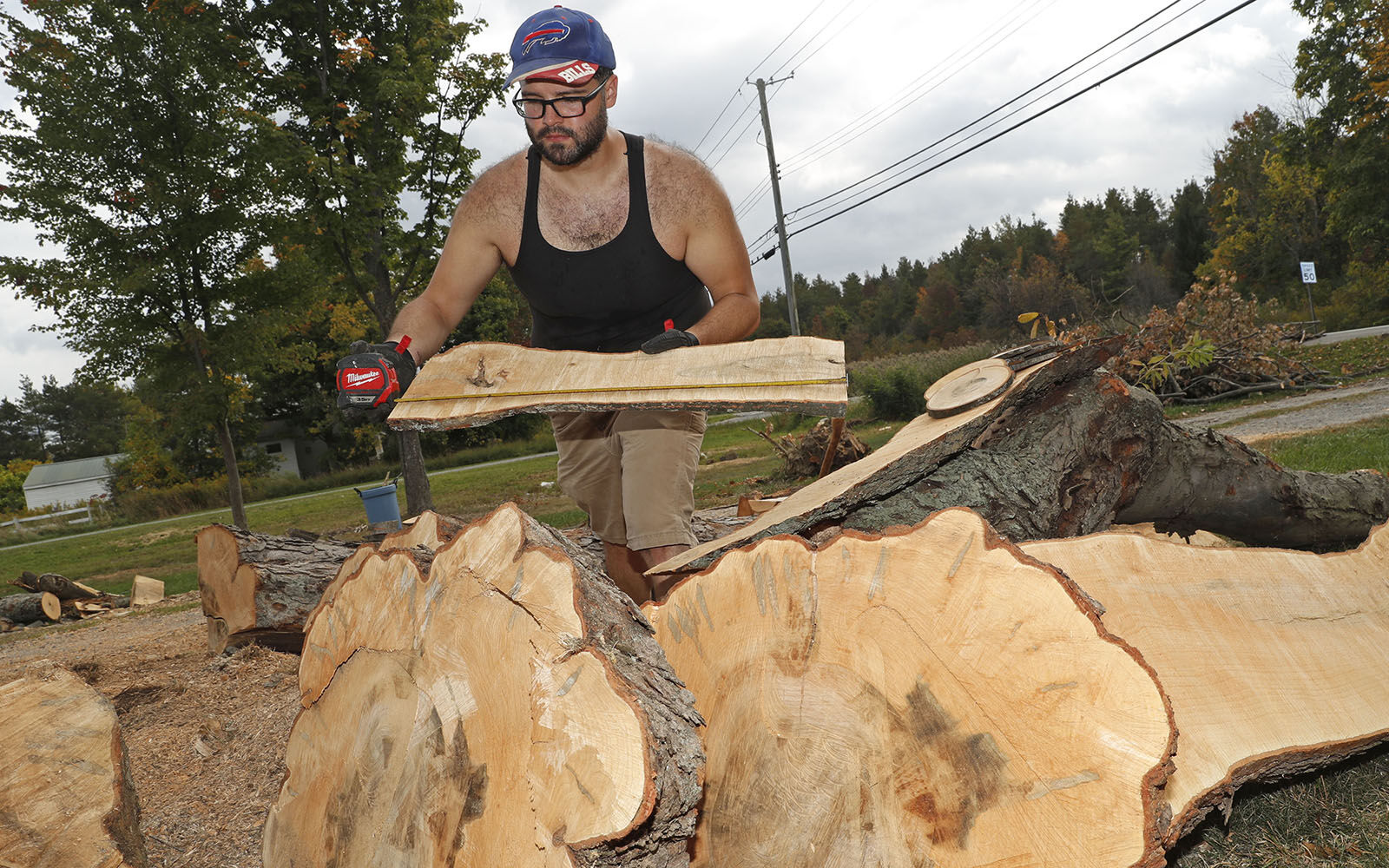 Making the best of a fallen tree
